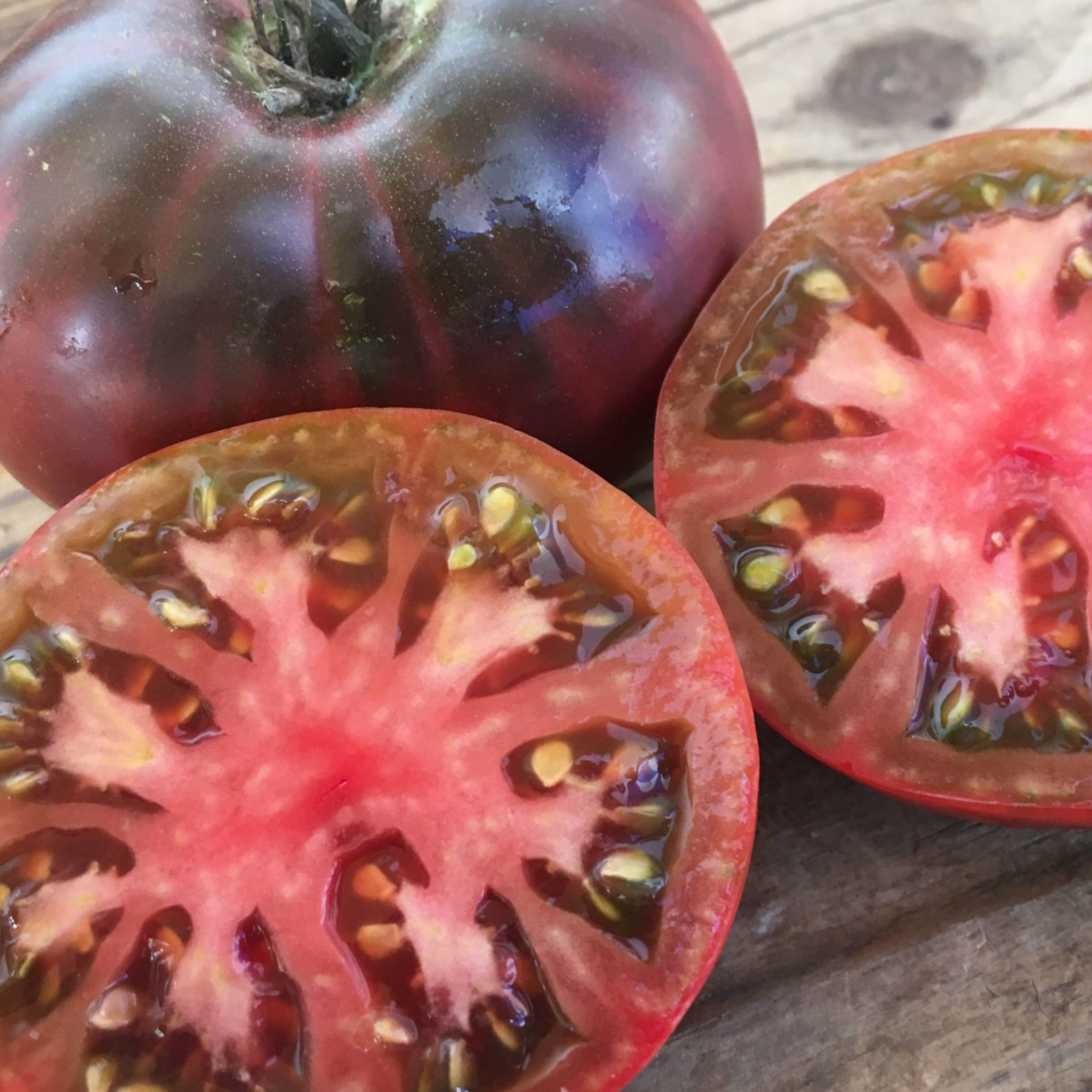 Tomato Purple Cherokee 1