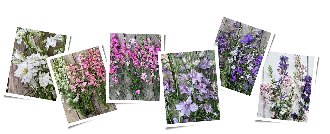 Beige White Aesthetic Feminine Scrapbook Photo Collage Facebook Post (1940 x 788 px) (6).p