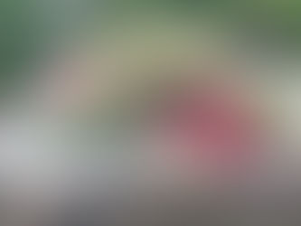 A Professional's Guide to Storing Dried Flowers