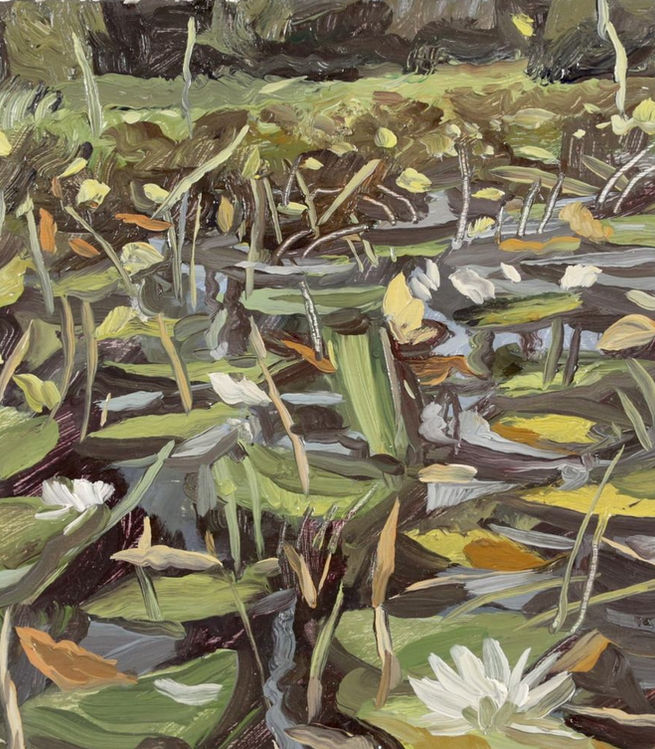 LilyPads 2013.jpeg