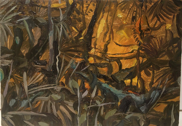 Tropical Wildfire 2021.jpeg