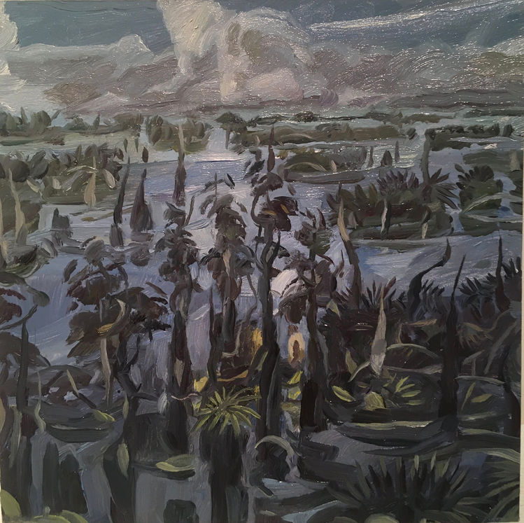 Florida Dusk 2021.jpeg