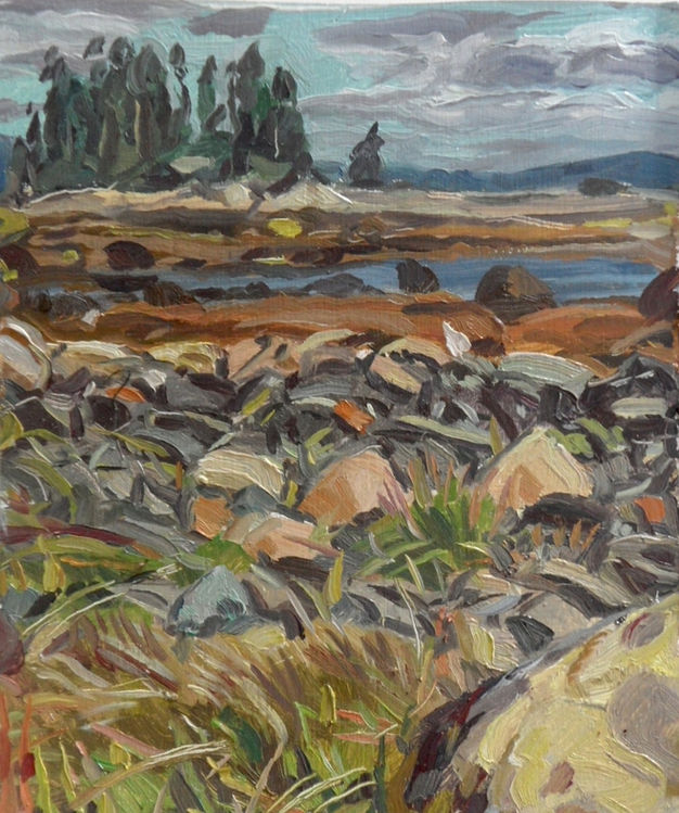 Maine Landscape 2014.jpeg