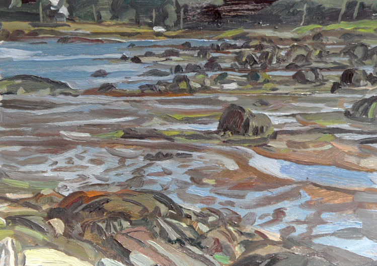Tidal Pools 2013.jpeg