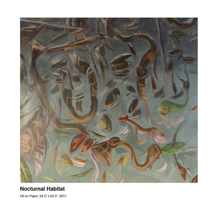 Nocturnal+Habitat 2017.jpeg