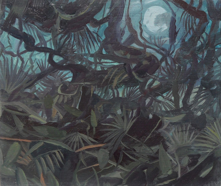 Tropical Moonlight 2010.jpeg
