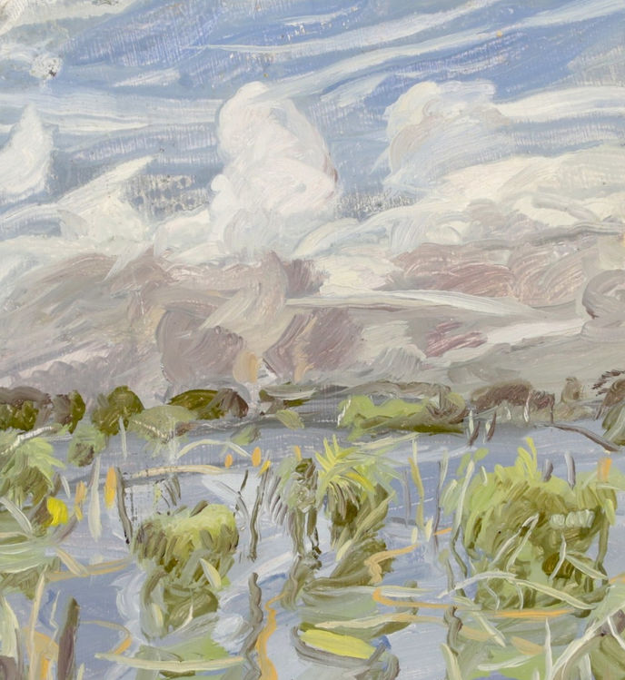 CumulusClouds 2009.jpeg