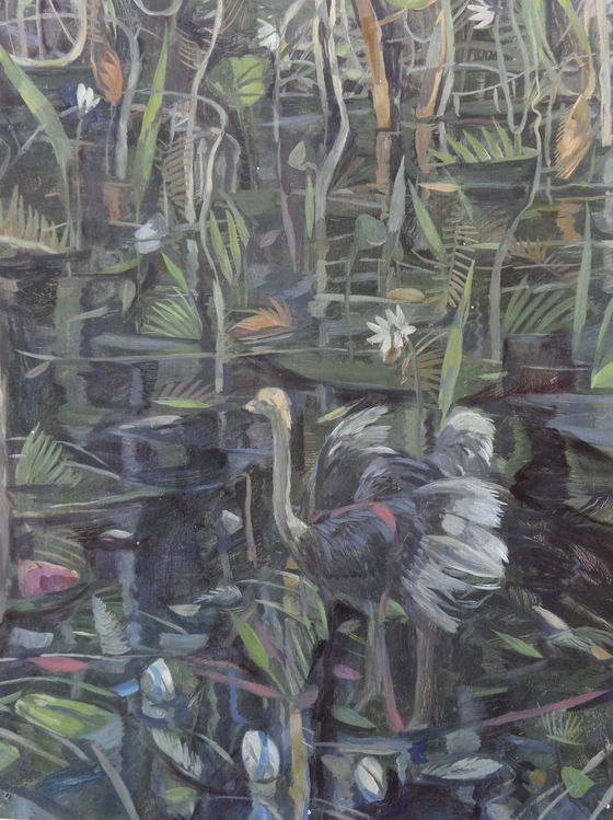 Wading Ostrich 2009.jpeg