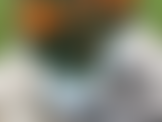 Tuesday, September 13th