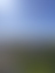 Top 10 Things to do in Paris