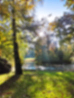 The Vondelpark lays amidst the bustling city of Amsterdam