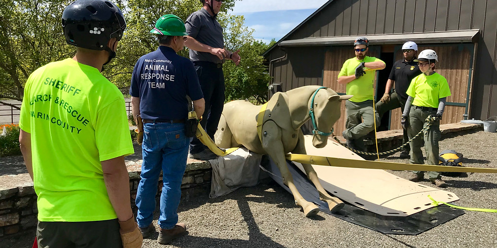 VIRTUAL- Animal Technical Rescue- Awareness Level