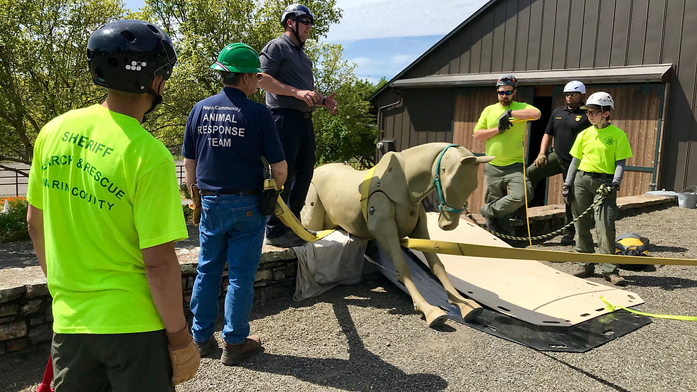 Animal Technical Rescue- Awareness Level (in person)