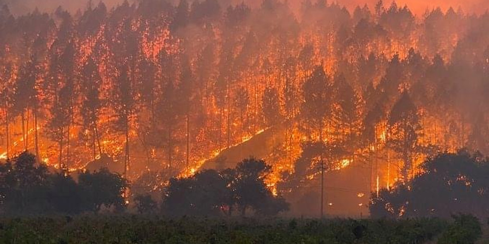 VIRTUAL Fireline Safety Course