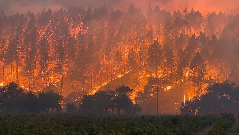 VIRTUAL Fireline Safety Course