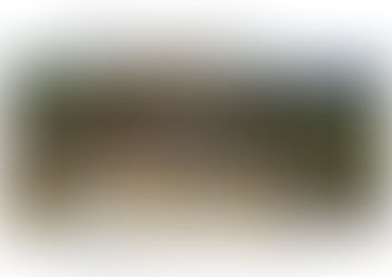 Patrioten essen keinen Parmesan