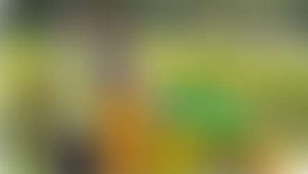 Uletha and her husband