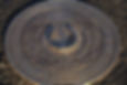 ree