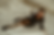 Screenshot 2023-11-13 at 16.31.27.png