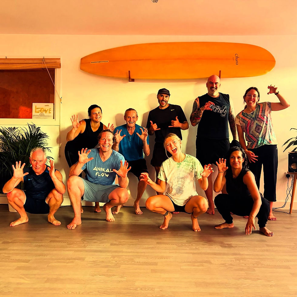 Movement is the key, Animal Flow can help you to unlock in a new way.