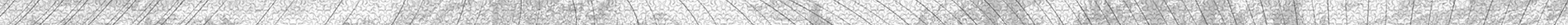 webdivider2.jpg