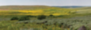 meadows-steens-mountains-south-east-oregon.jpg