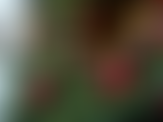 Christmas Holiday Finds for Home Improvement Enthusiasts