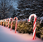 Festive Garden Candycane lights.jpg