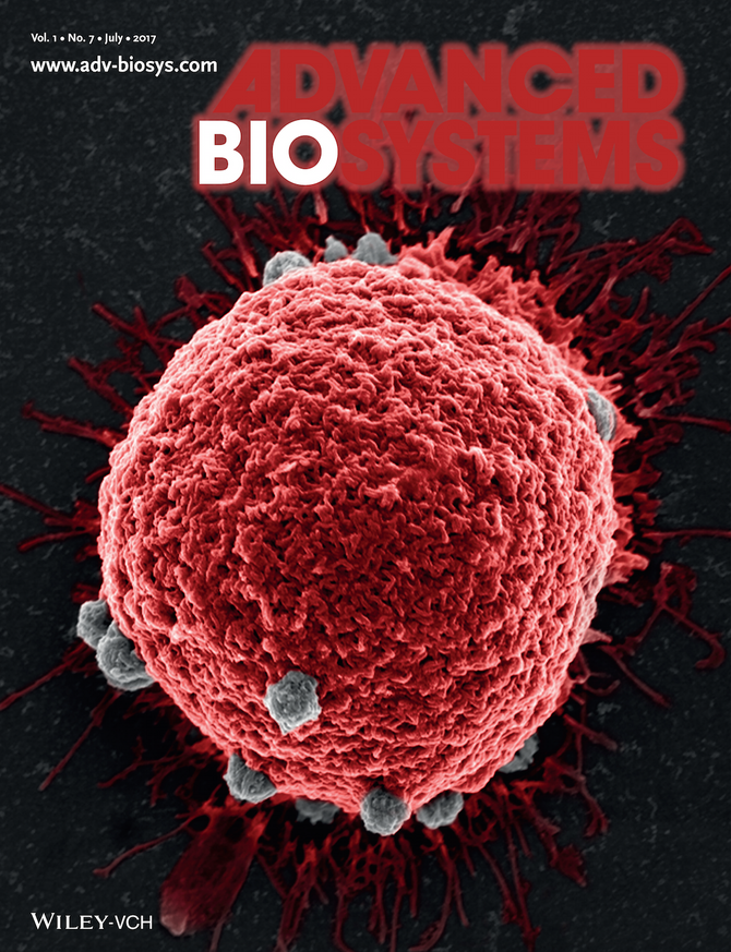 The recent work appears on the front cover of Advanced Biosystems journal