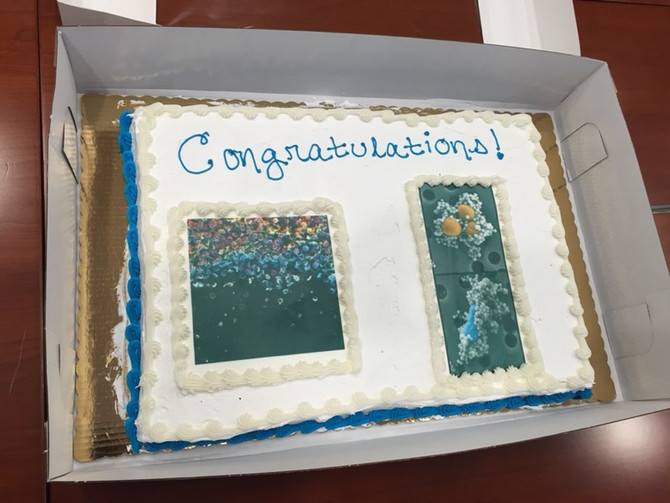 Celebrating our new papers!