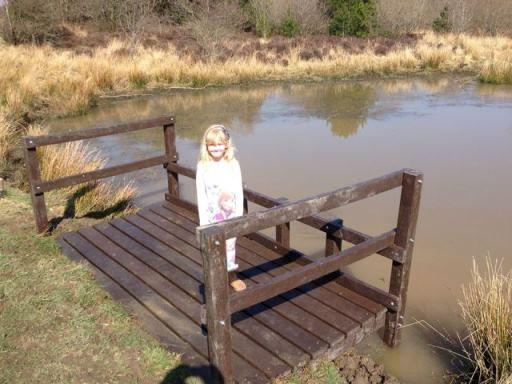 Dipping Platform 10