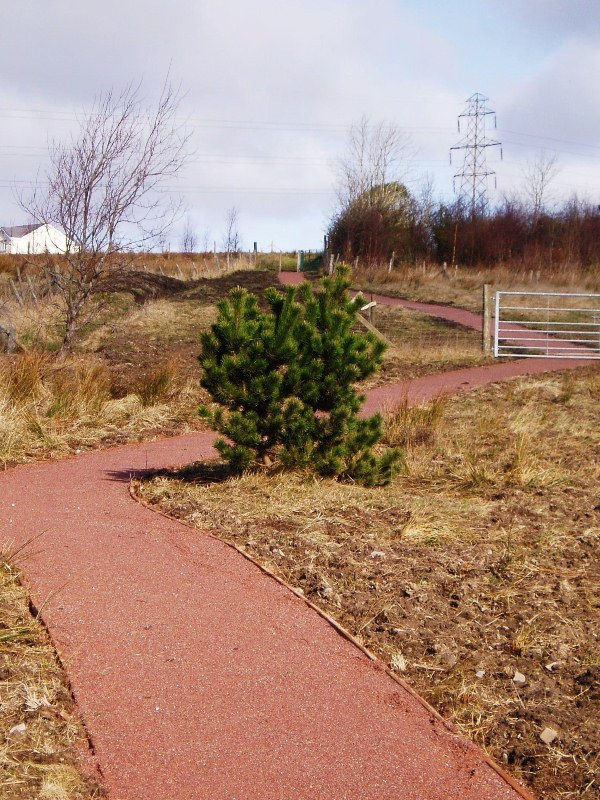 New Path March 2012 02