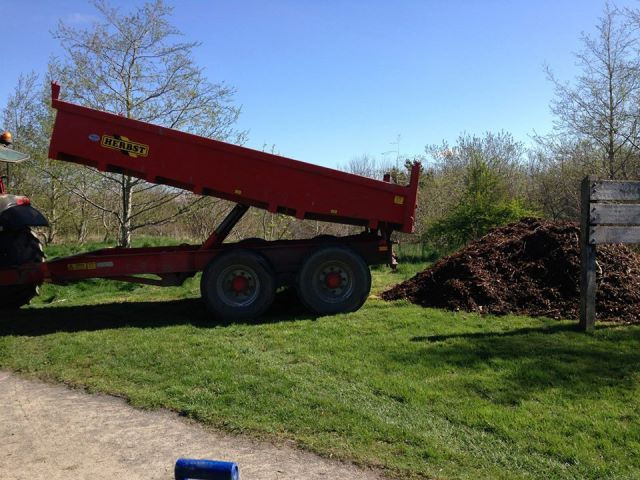 Hedge Planting 05