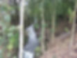 Ebbw River Project 01