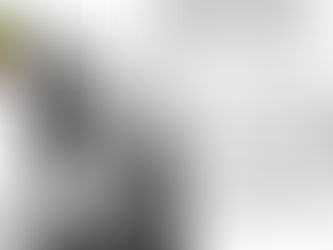 პოეტი / მურმან ლებანიძე