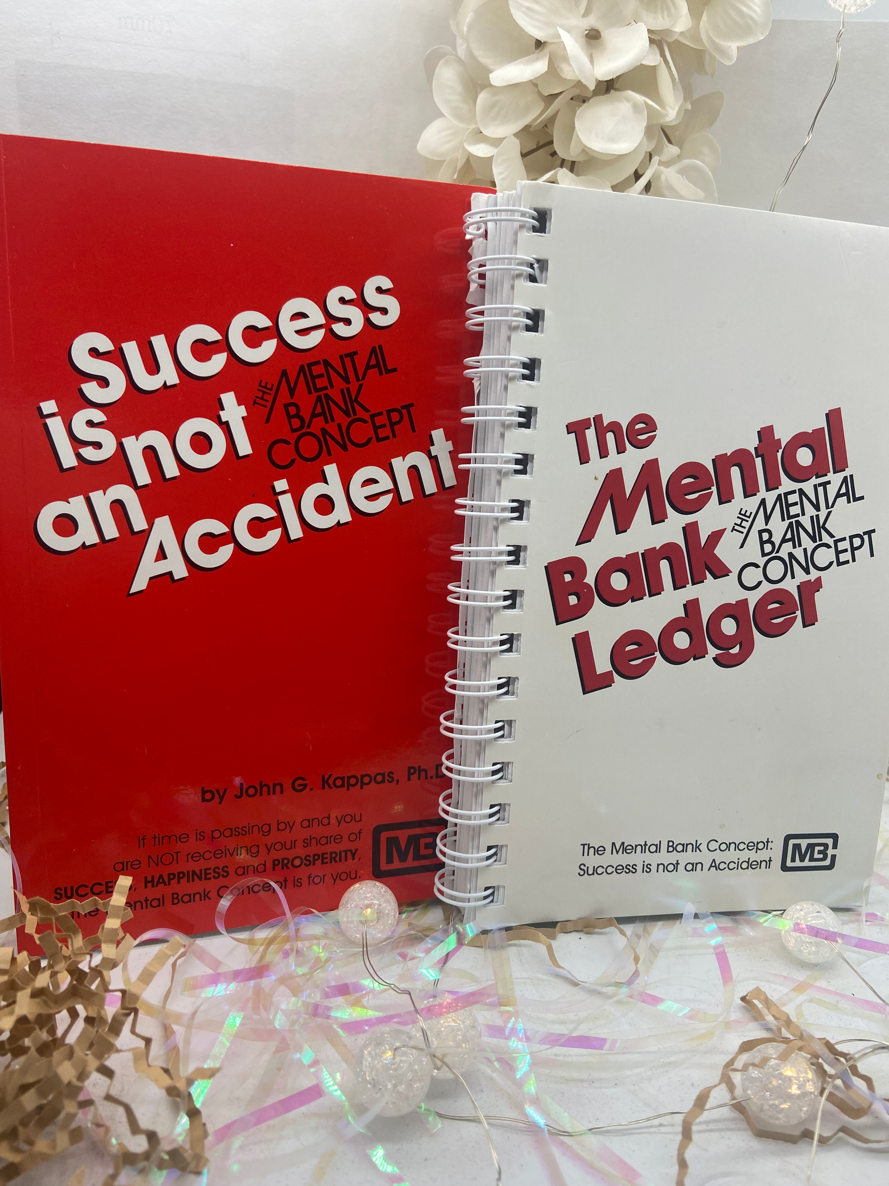 Mental Bank Book & Ledger