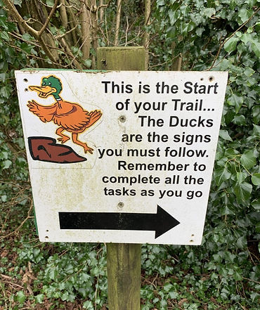 duck%20trail_edited.jpg