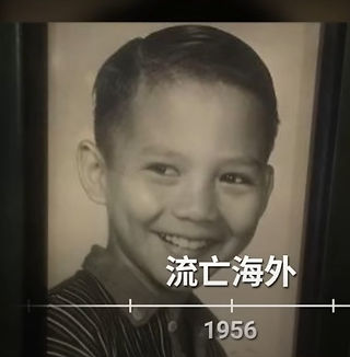 年青的普拉博沃