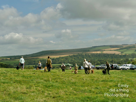 Arun & Downland Gundog Society Competitive Training Day