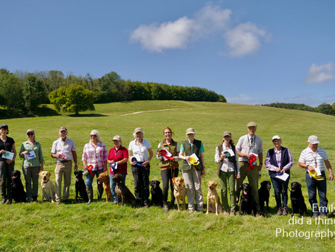 Arun & Downland Gundog Society Competitive Training Day