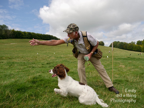 Arun & Downland Gundog Society Competitive Training Day