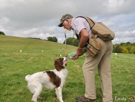 Arun & Downland Gundog Society Competitive Training Day