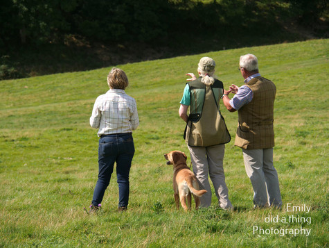 Arun & Downland Gundog Society Competitive Training Day