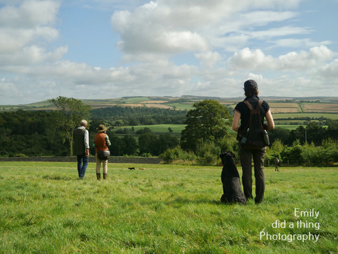 Arun & Downland Gundog Society Competitive Training Day