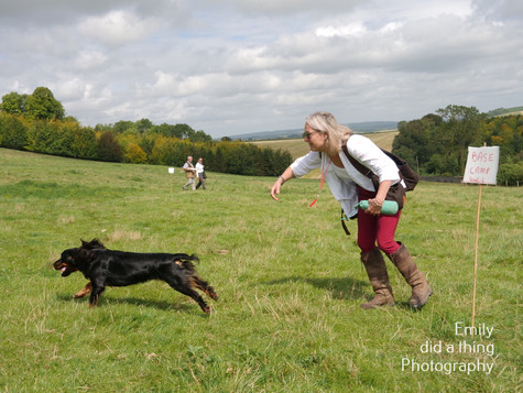 Arun & Downland Gundog Society Competitive Training Day