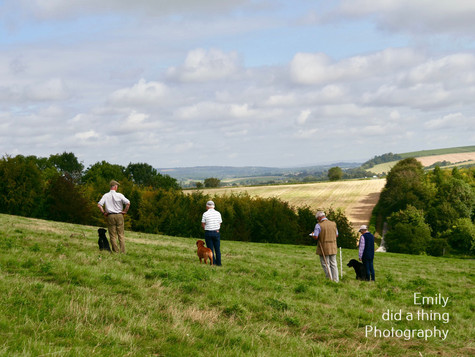 Arun & Downland Gundog Society Competitive Training Day