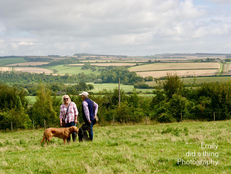 Arun & Downland Gundog Society Competitive Training Day