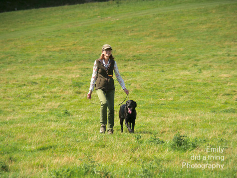 Arun & Downland Gundog Society Competitive Training Day