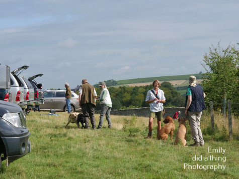 Arun & Downland Gundog Society Competitive Training Day