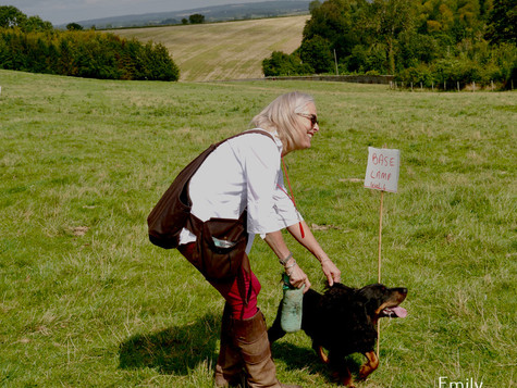 Arun & Downland Gundog Society Competitive Training Day